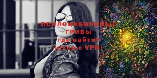 синтетический гашиш Медвежьегорск